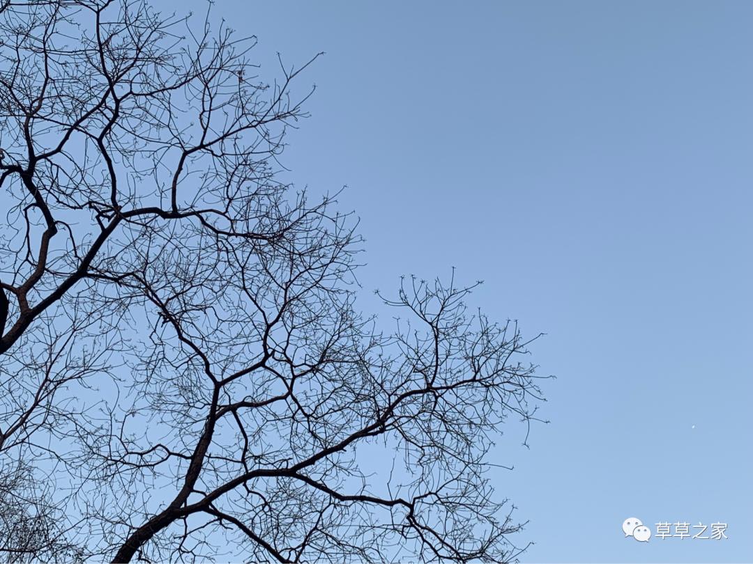 合肥一中有一个后花园，你进去玩过吗？早春里的一中后花园