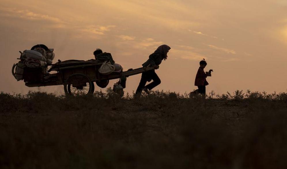 近5年高口碑“影视神曲”：《卡路里》排第7，《人世间》排第2