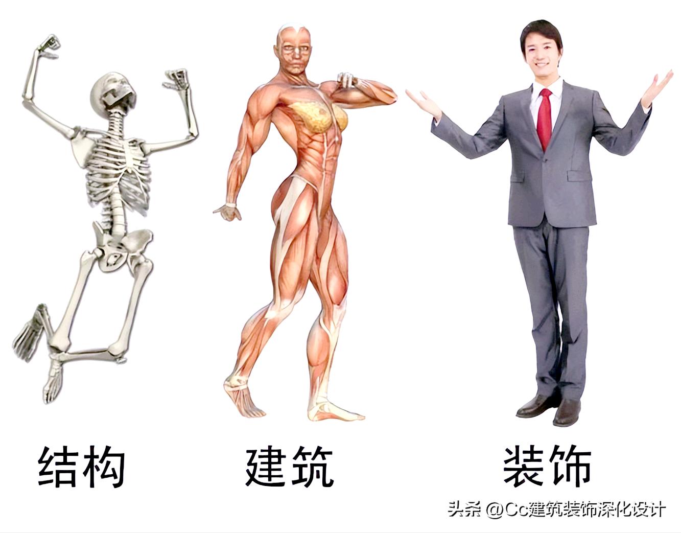 结构工程的基础知识有哪些,建筑结构构件分为哪几种