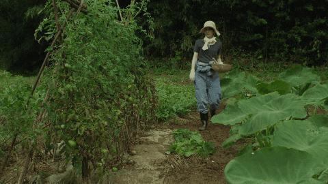 豆瓣9.0，日本乡间简素的一餐一饭，治好了无数人的“精神内耗”