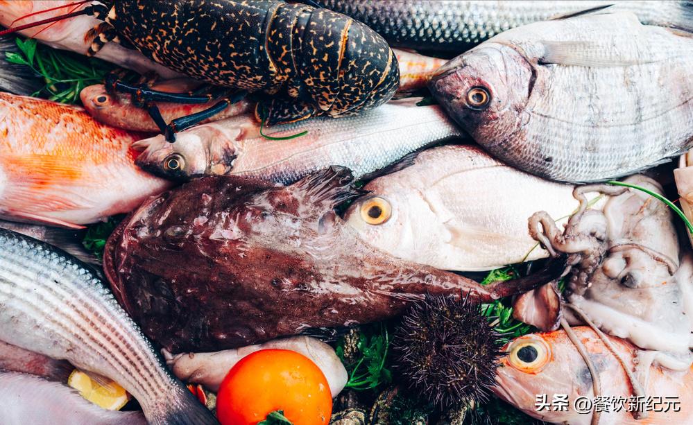 买鱼时这四种鱼切记不要买,十种野生鱼不能养殖