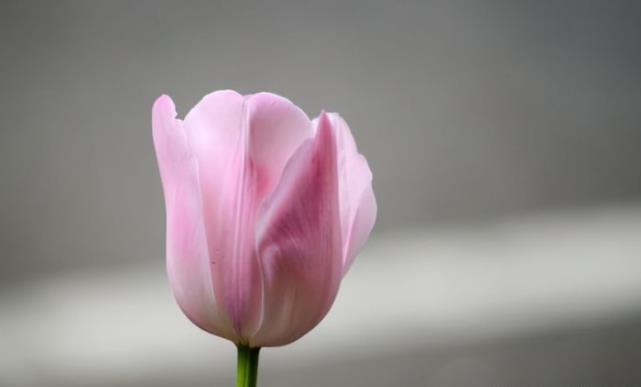 人为什么大多到中年后才会成功,中年人要学会什么才能成功