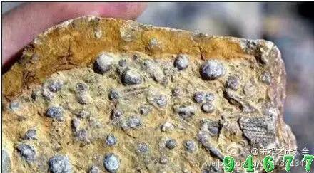 带你看世界奇闻异事,世界奇闻百态