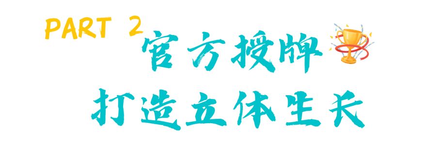 崛起的一代,崛起的王者