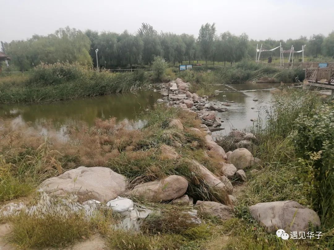 包头市台地公园景观,包头台地公园介绍