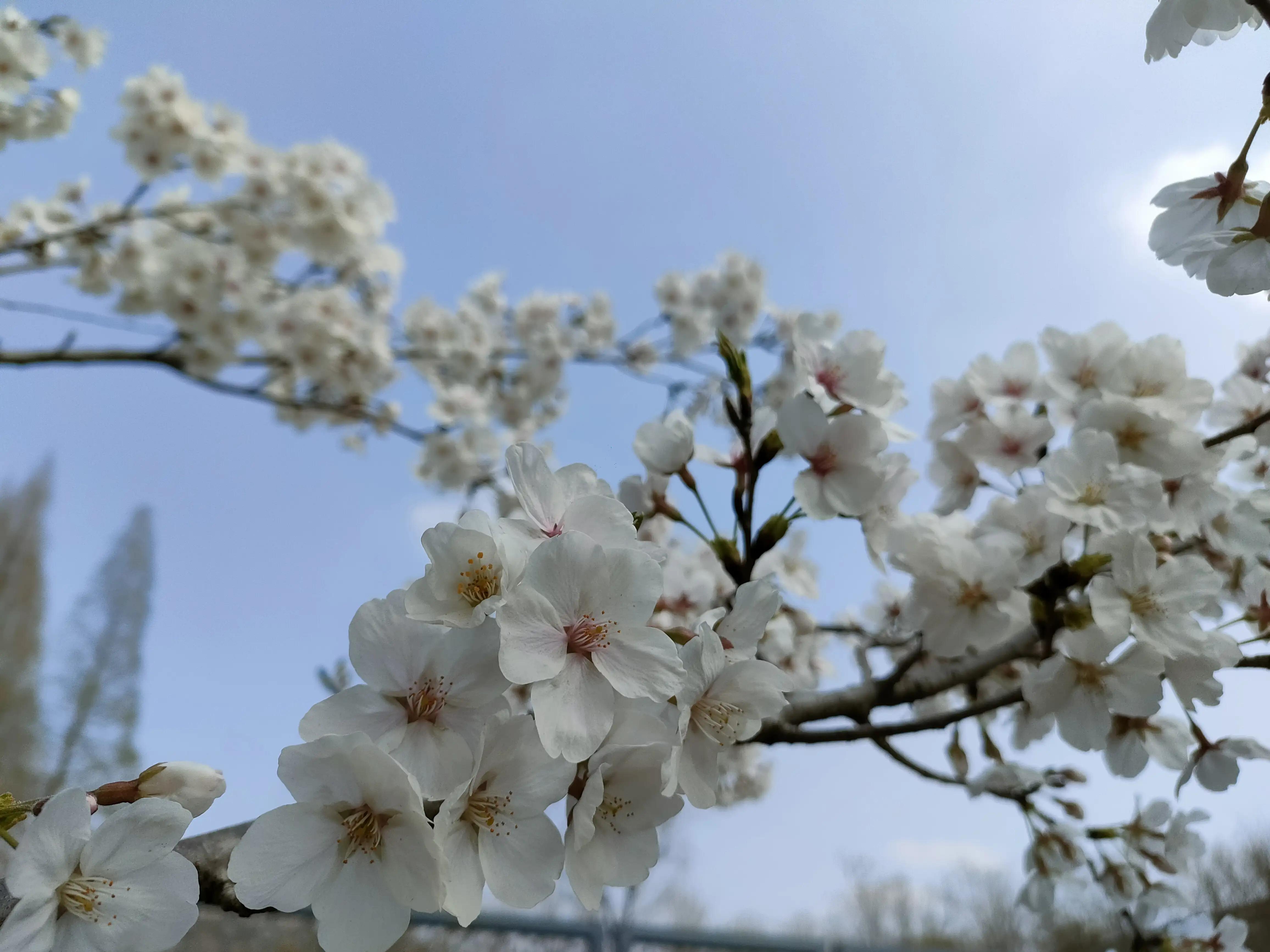 美好的孤独时光,美好的孤独