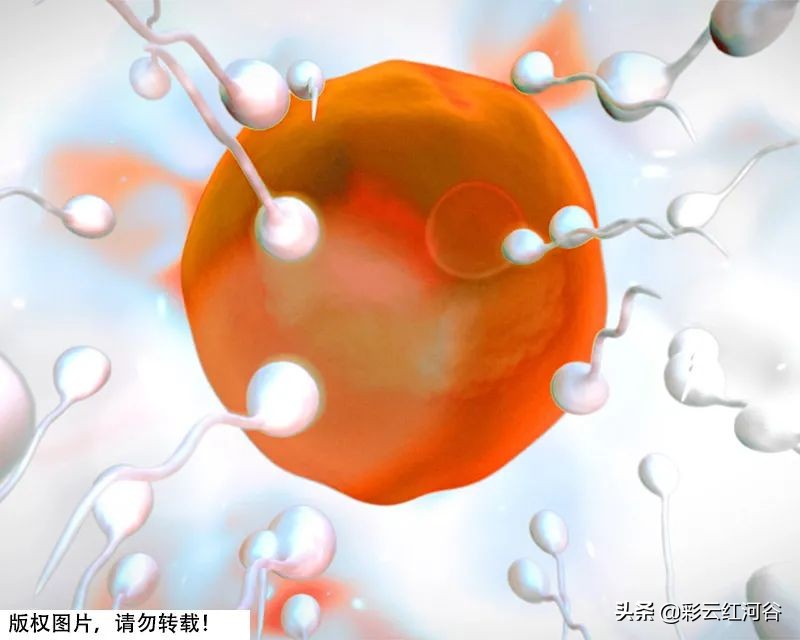 经期洗头真的会致癌吗,经期洗头会致癌吗