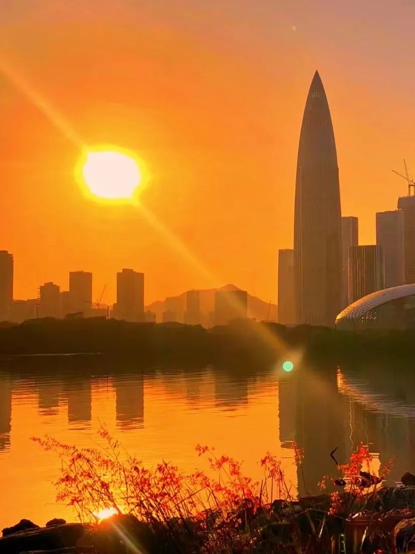 @深圳人，夏日晚霞图鉴请签收！