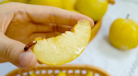 暑假韶关有什么好玩的地方,韶关周边避暑胜地亲子游