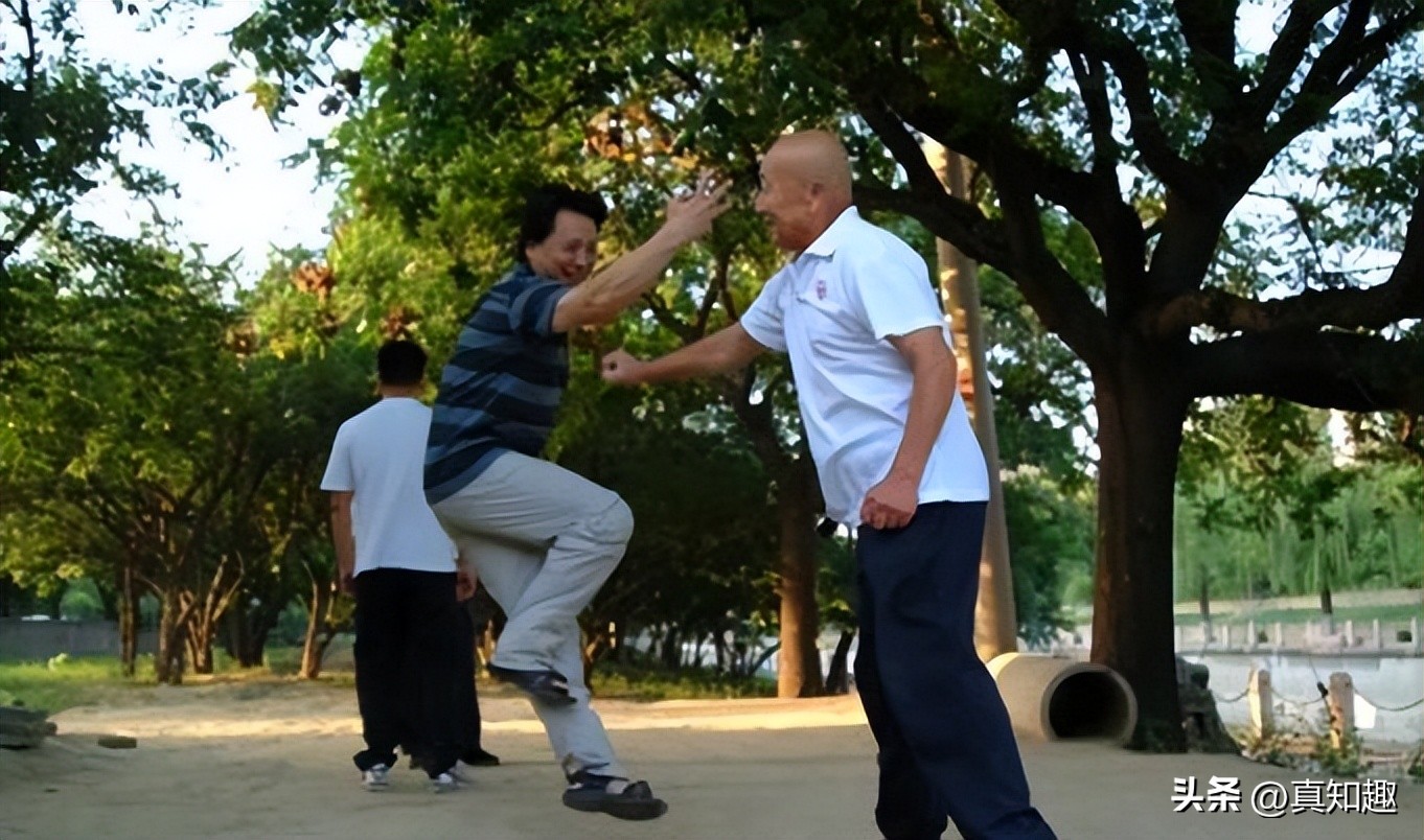 什么是内劲内气,什么是内劲和内功