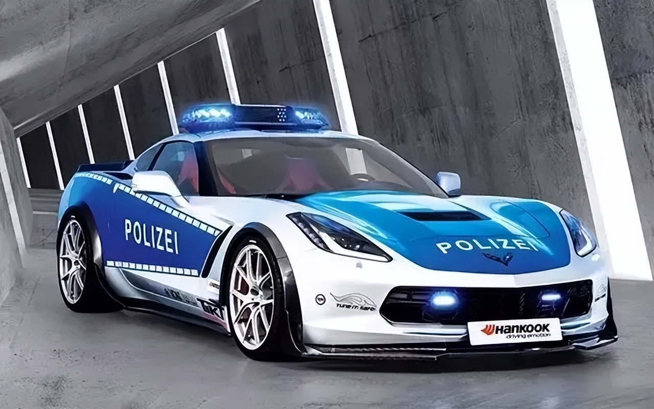 德国警察执法视频,你不知道的德国警察