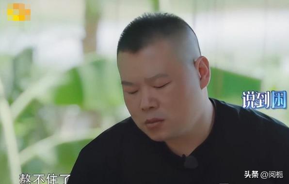 看似辉煌实则一塌糊涂,德云社损人的视频