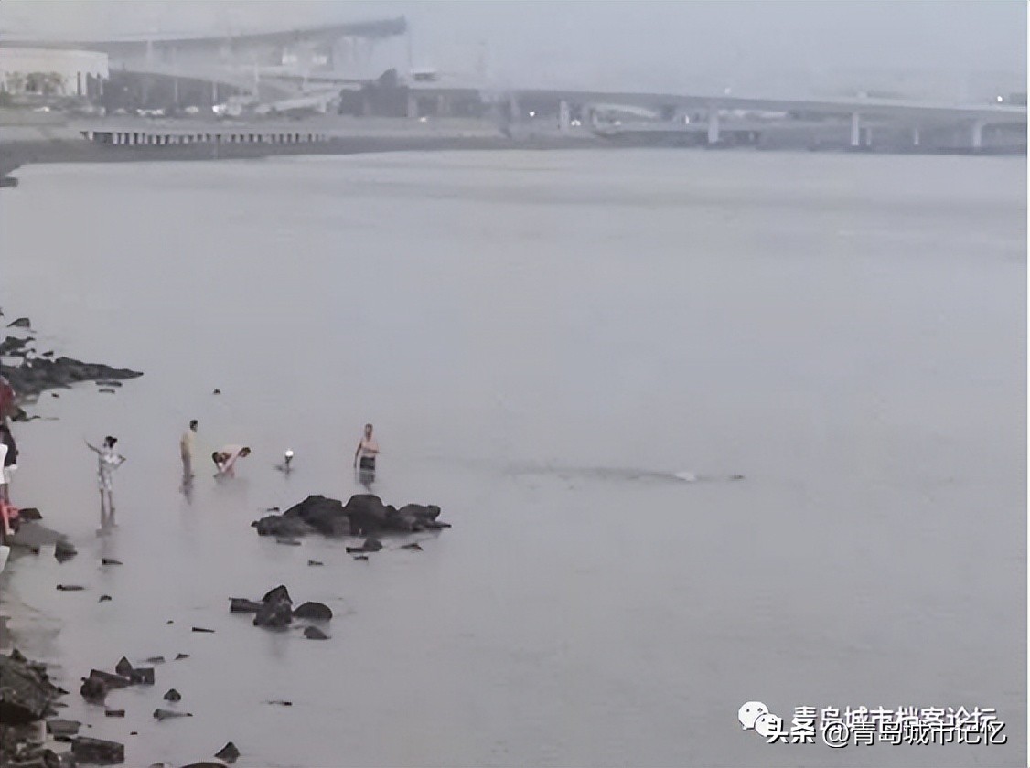 青岛的几大海水浴场分别在哪,青岛八大海水浴场分别是
