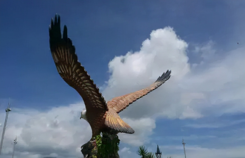 被誉为天空霸主的老鹰，拿毒蛇当饭后甜点，非洲平头哥都直呼内行