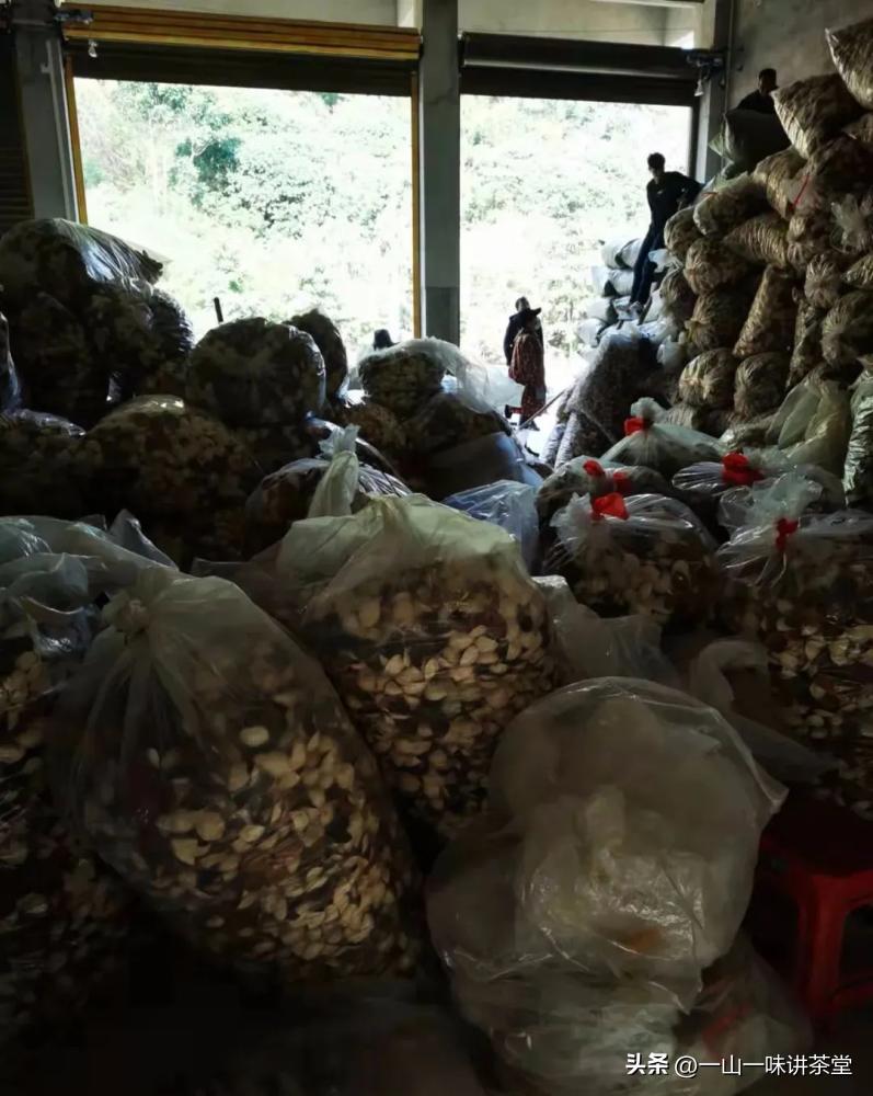 新会陈皮的产地有何特点,新会陈皮产区实地视频