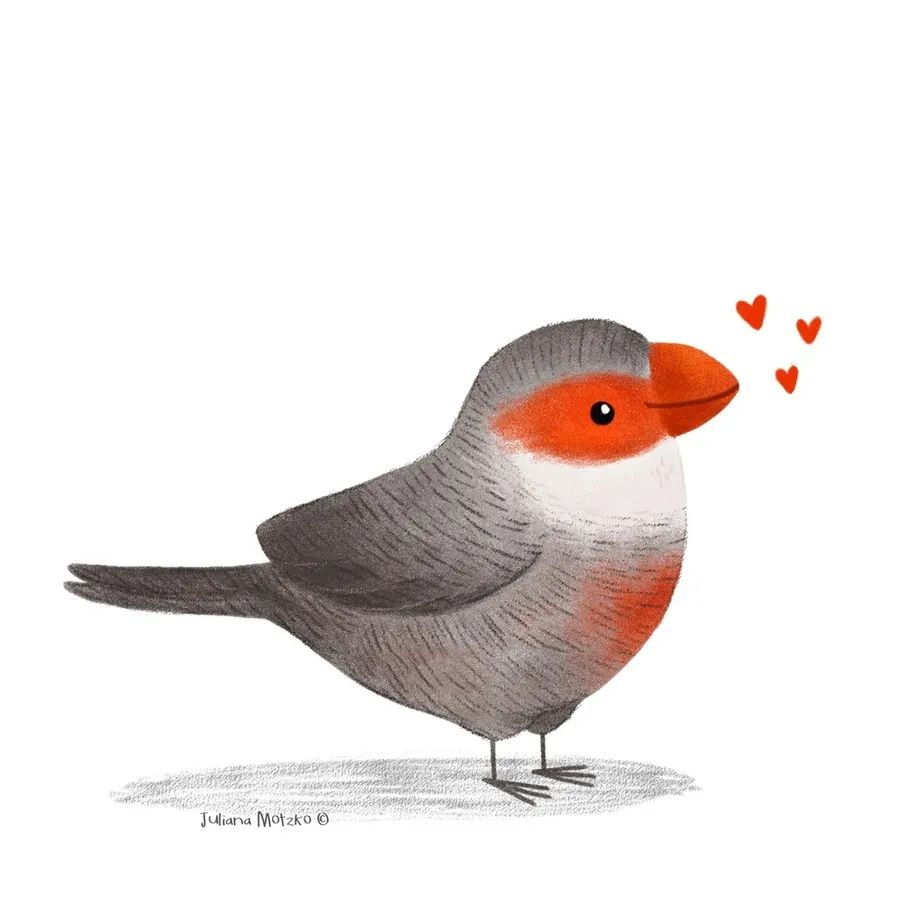 鸟类插画大全,鸟类插画艺术欣赏