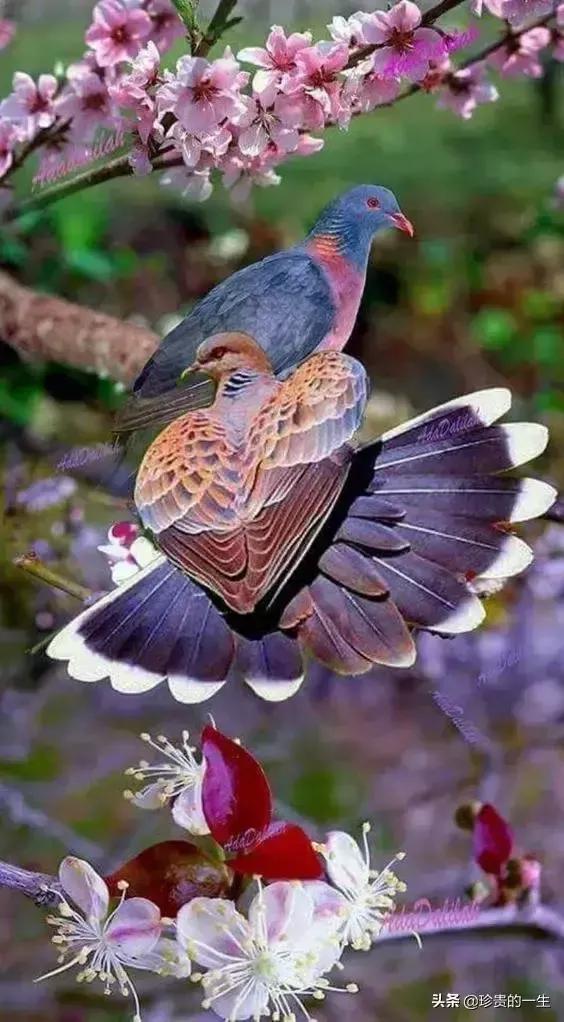 六年级上册英语思维导图,六年级上册英语第一单元