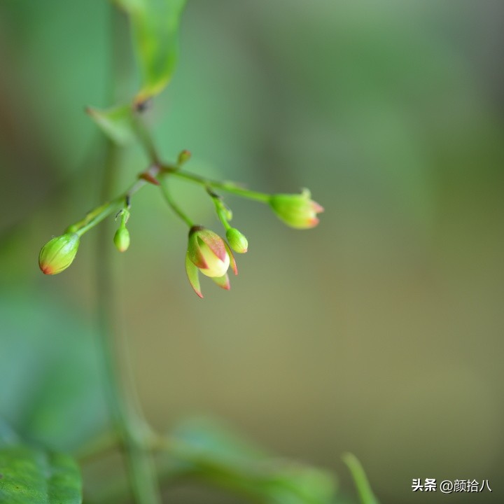 天冷怎么注意植物冻死,植物怕冷怎么过冬