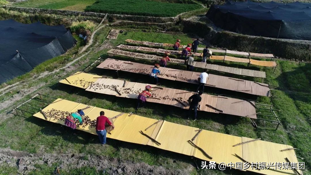 2023乡村振兴申报项目及补贴,振兴乡村国家有哪些资金扶持项目