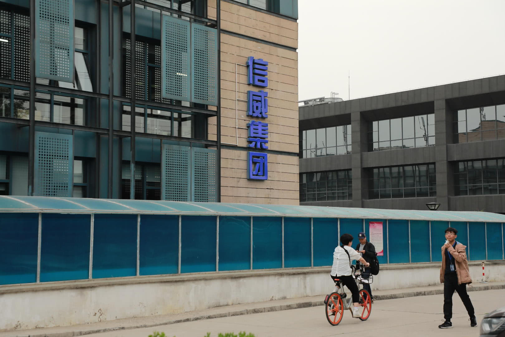 最顶级骗术，洗浴马仔靠首富头衔割韭菜，坑15万人，骗国家280亿