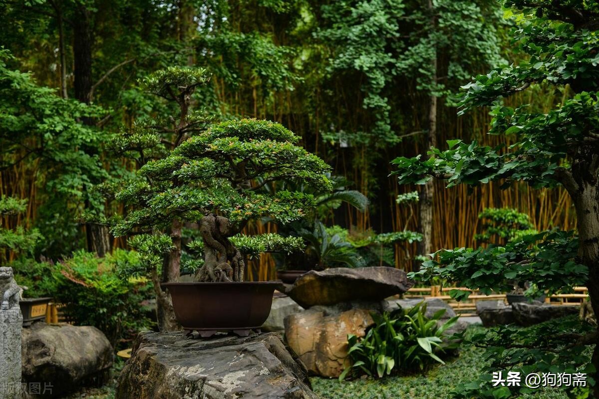 从底层开始小说,底层生活小说全集