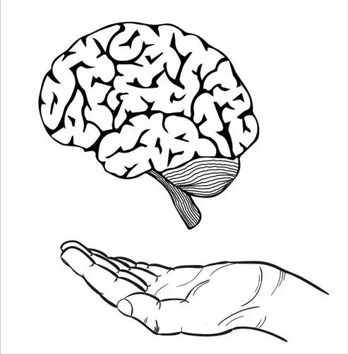 手是第二个大脑,如何理解手是人的第二大脑