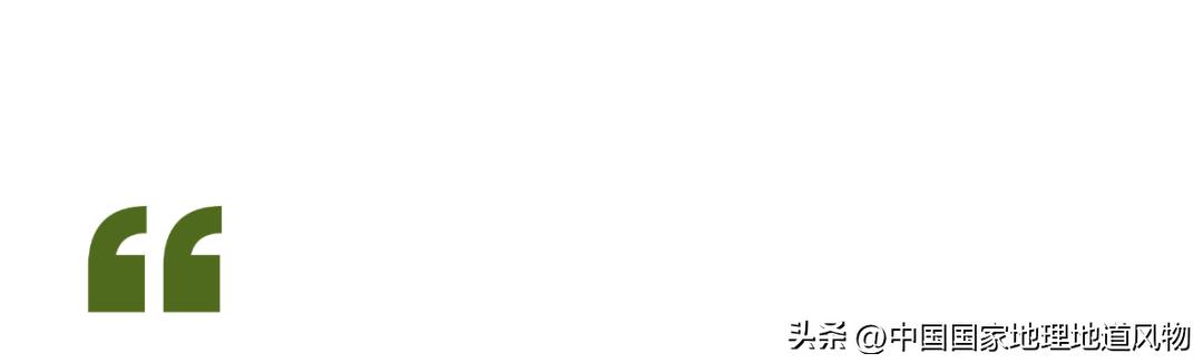 茅台酒的味道是香精调出来的吗,茅台酒的酱香是什么酱