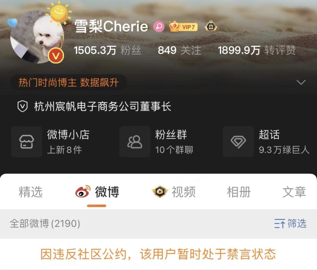 雪莉偷逃税被罚款多少,雪梨偷逃税被罚款科普