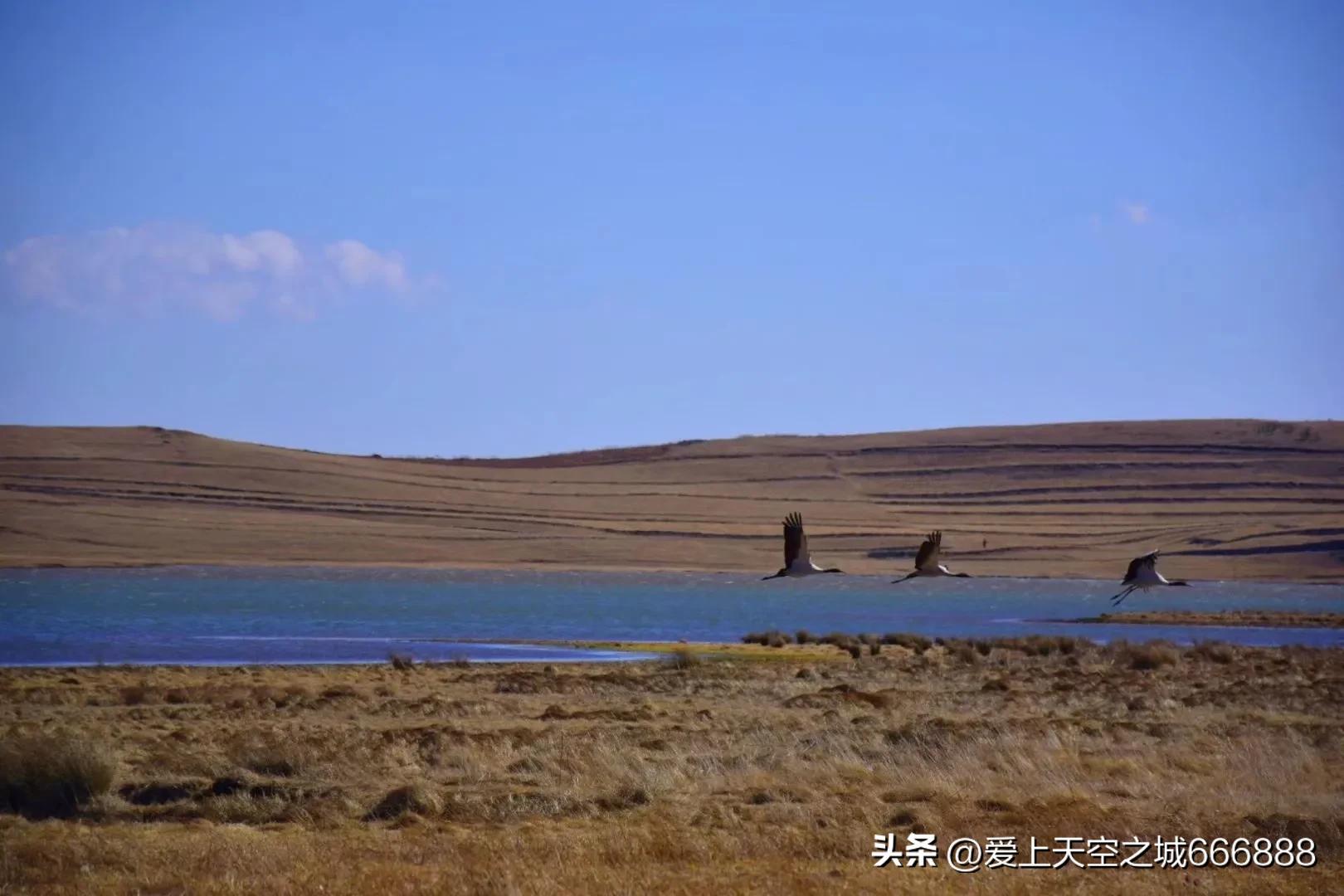 我们在云南全集,云南昭通大山包旅游攻略