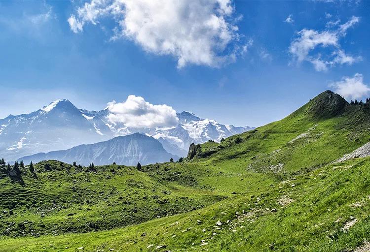 笔画简单寓意好的女孩名字,12笔画女孩名用的字