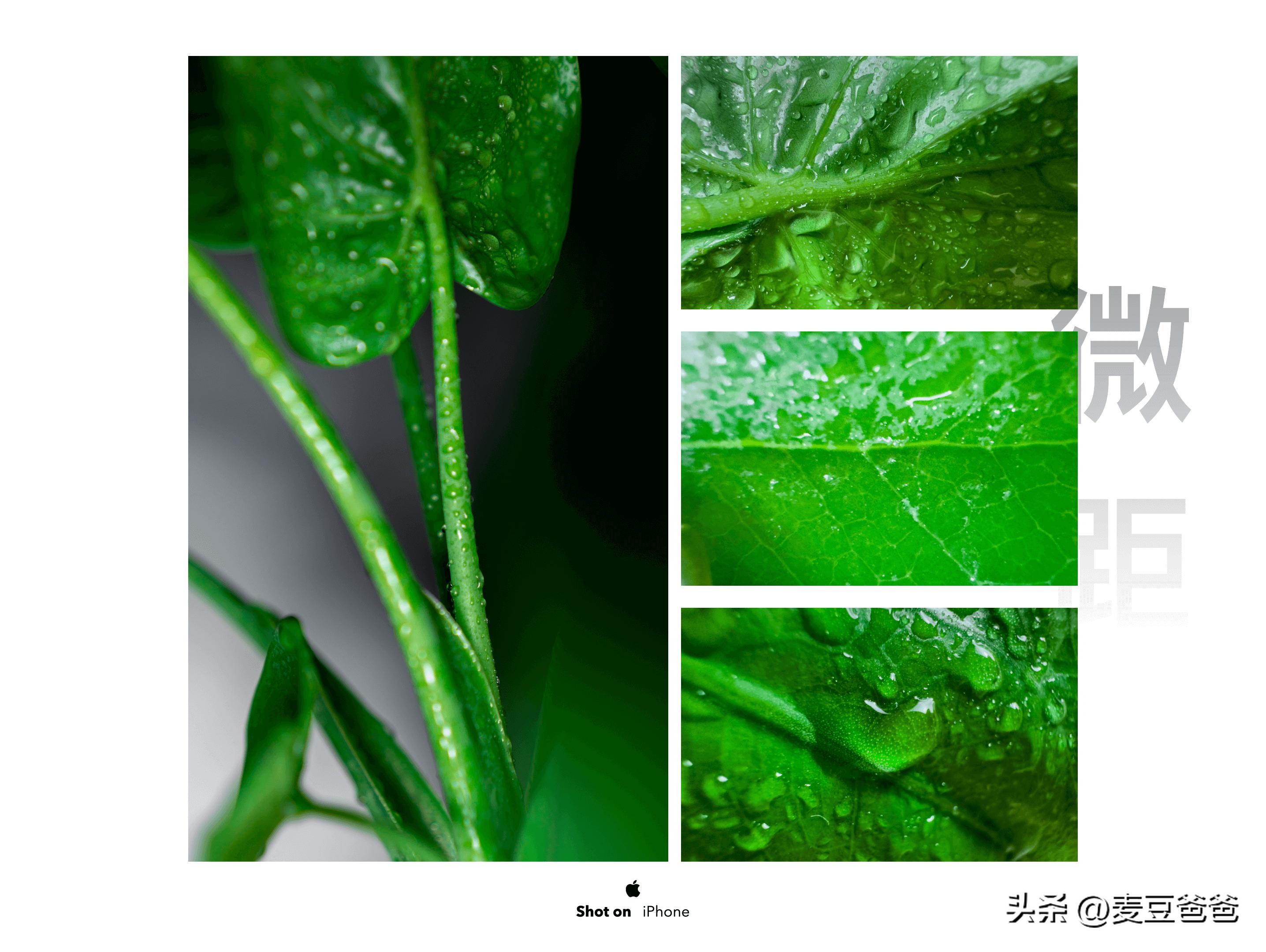 如何利用苹果14手机拍高清图片,iphone14如何拍出好看照片