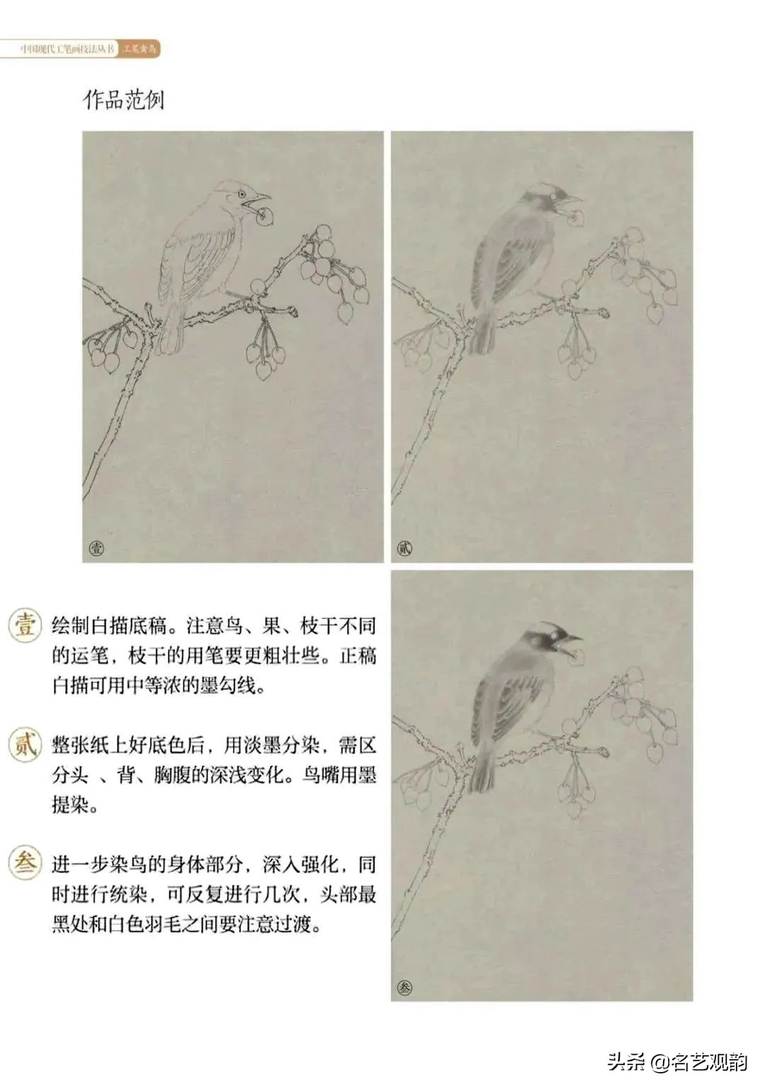 国画禽鸟写意教学视频,工笔禽鸟圆扇图片大全