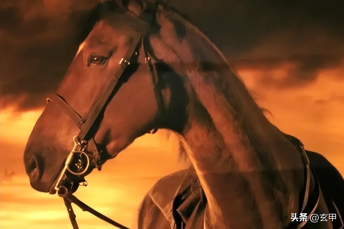 治平王荣之嫡系庸才成就美篇《祭战马文》