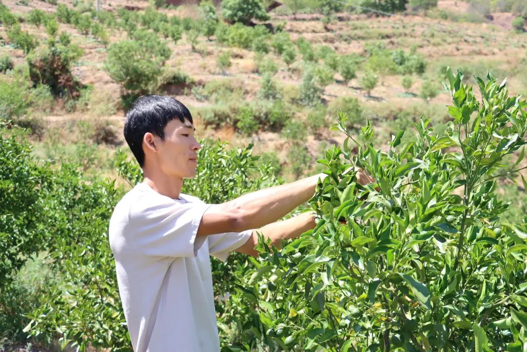 走进乡村看发展盐源县田湾乡：在山水之间谋振兴之路