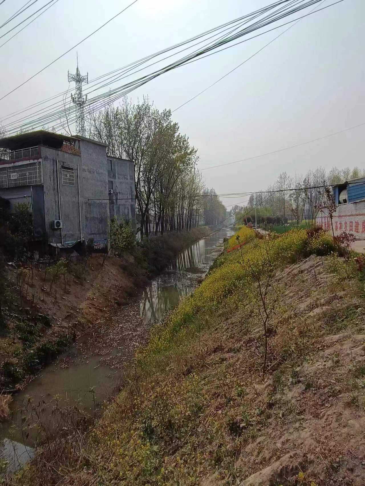 人烟繁盛的豫东南新蔡县，如何有个“野里”？