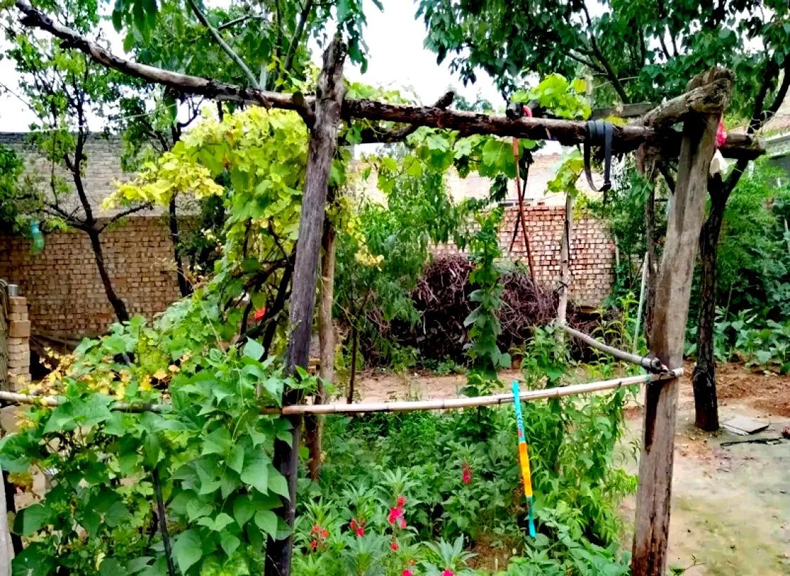 武汉四美塘公园开园了吗,四美塘公园和武昌生态文化长廊