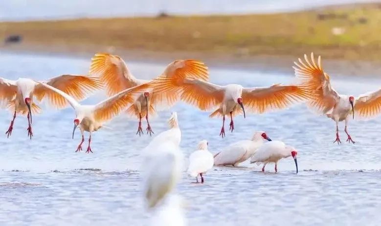 新县三日游攻略,罗山县一日游最佳去处