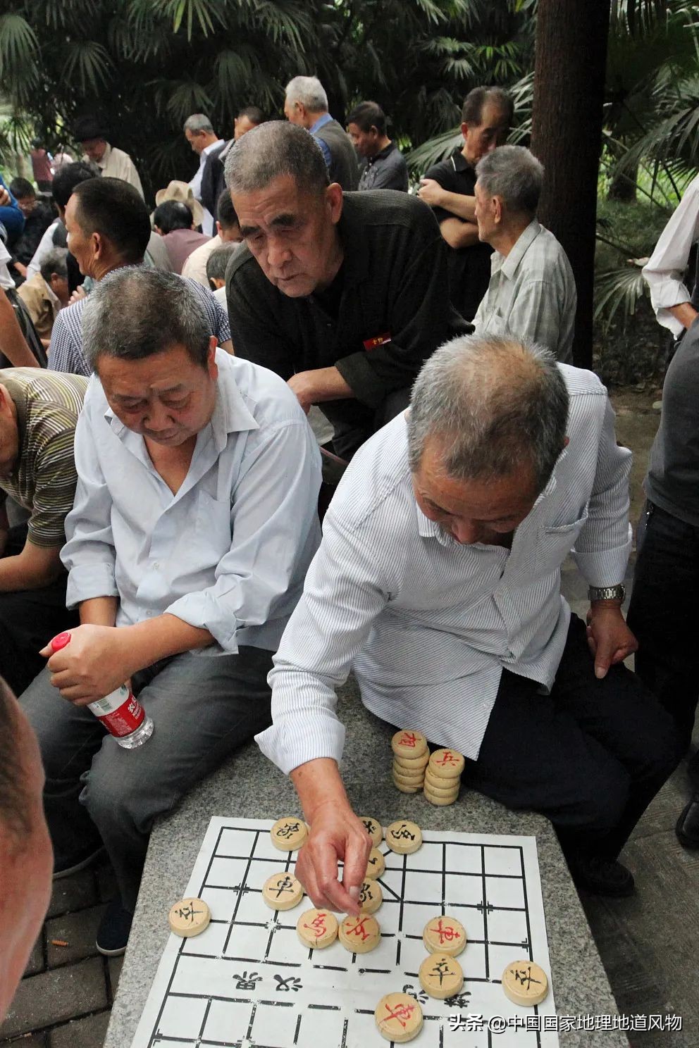 钵钵鸡冷串串家常做法藤椒味,红油串串钵钵鸡凉面