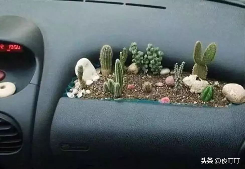 搞笑：给女儿买做的一条裙子