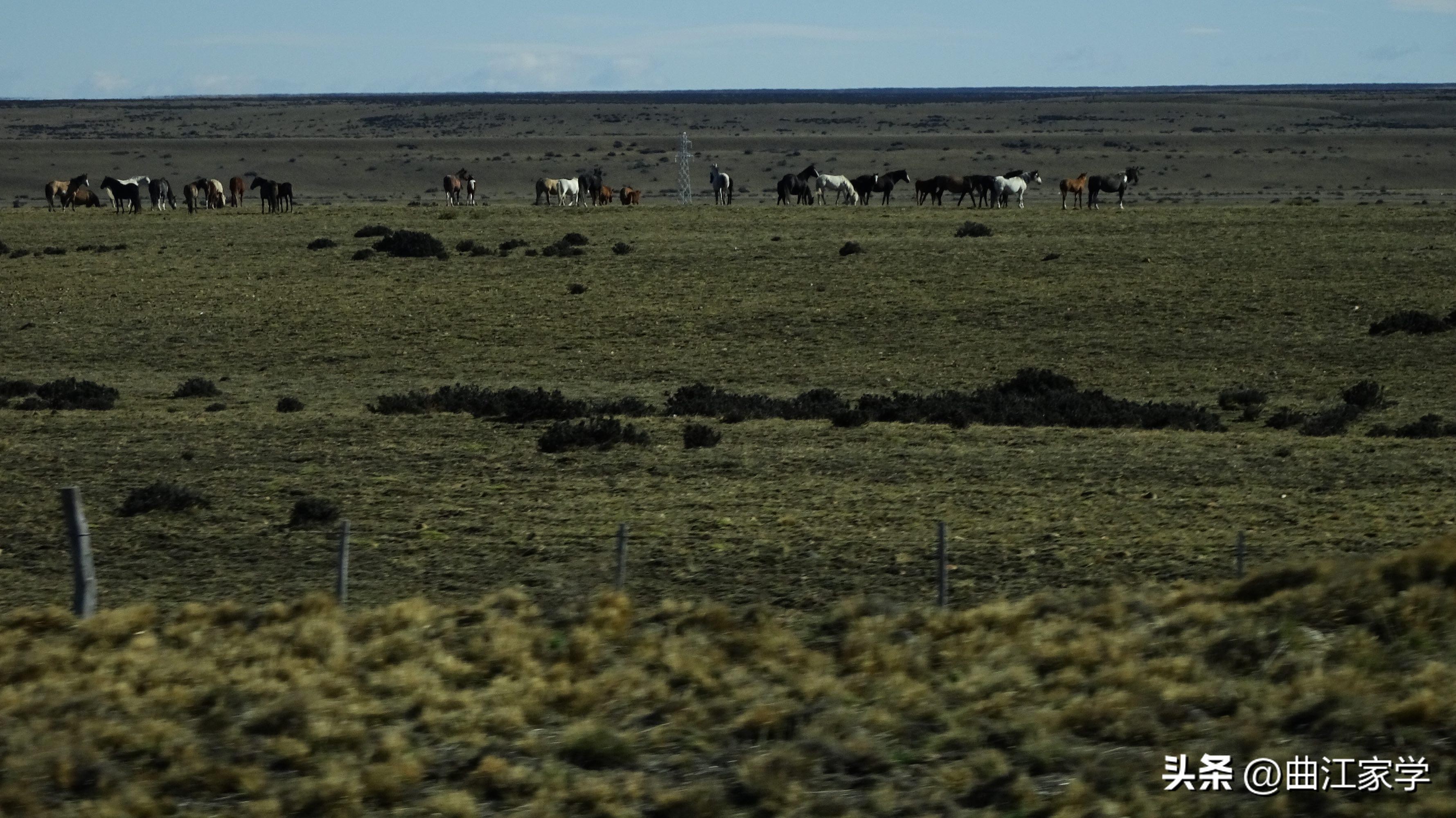 阿根廷的气质,阿根廷的气质是与生俱来的