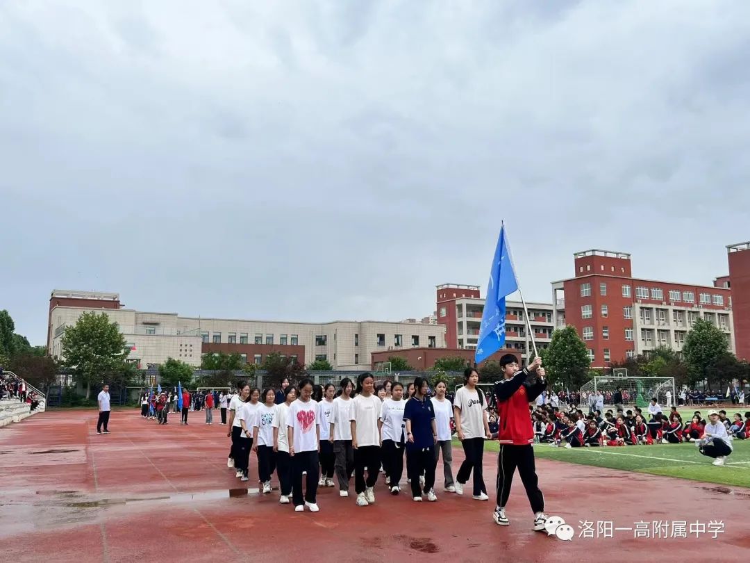 运动健儿展风采,运动展风采视频