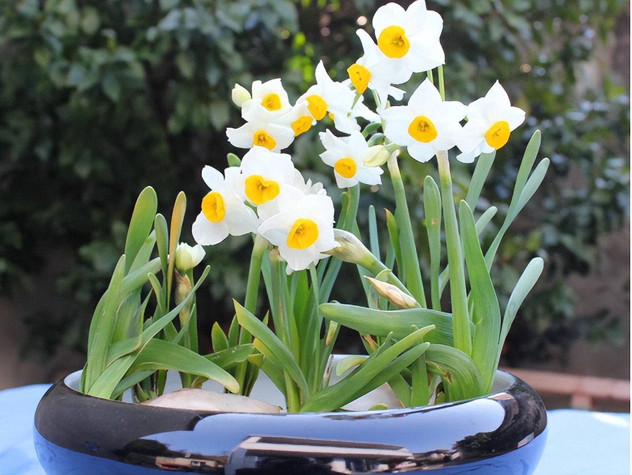 奶奶叮嘱，“花草有三不送，送了变仇人”，过来人的经验