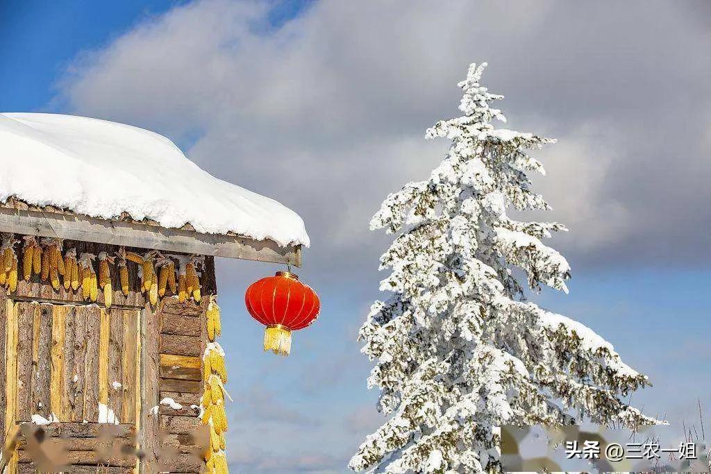 小度播报今天天气预报,预测今年天气啥时最冷