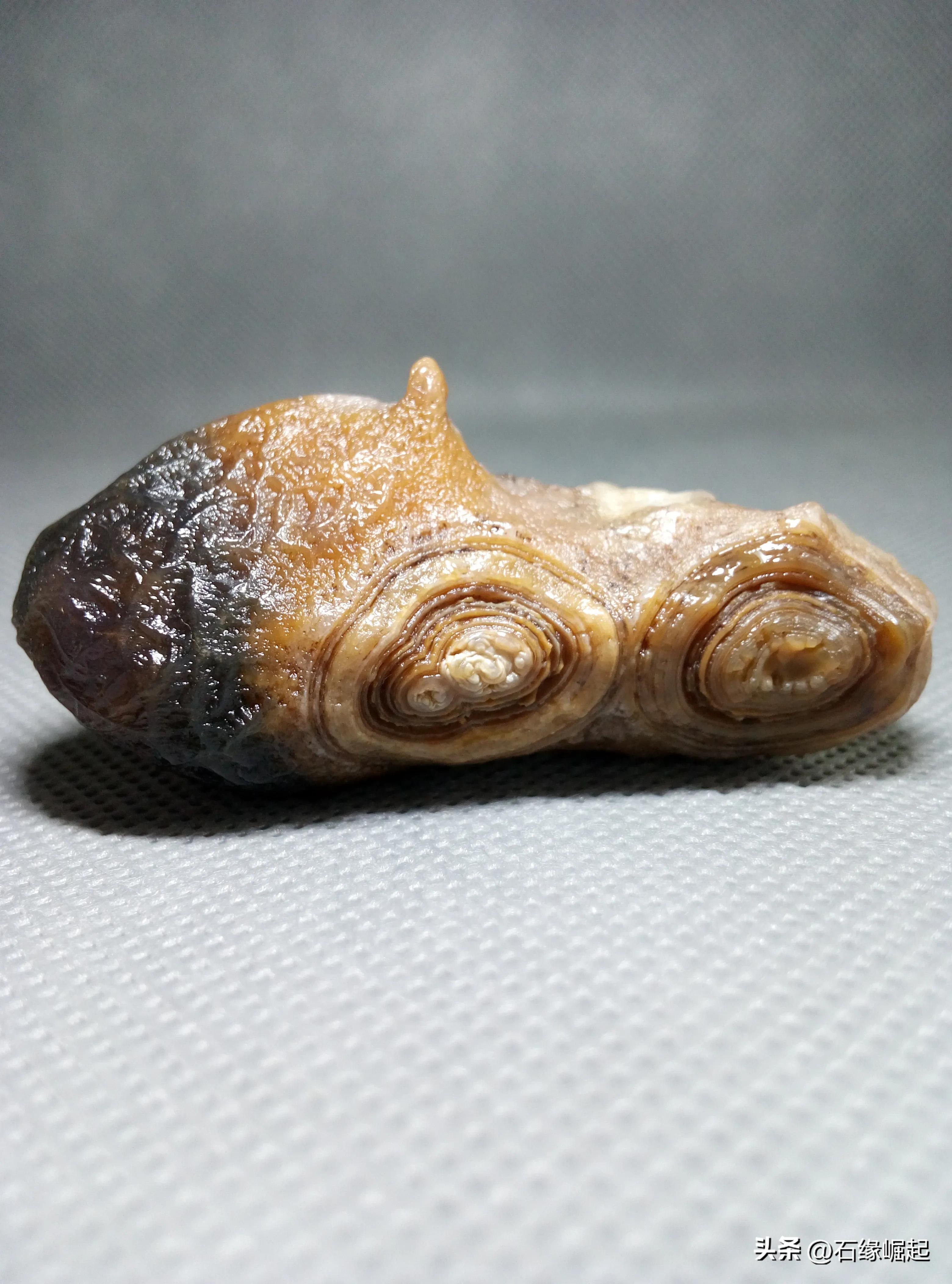 什么样的石头称为奇石,什么样的石头才是玉石