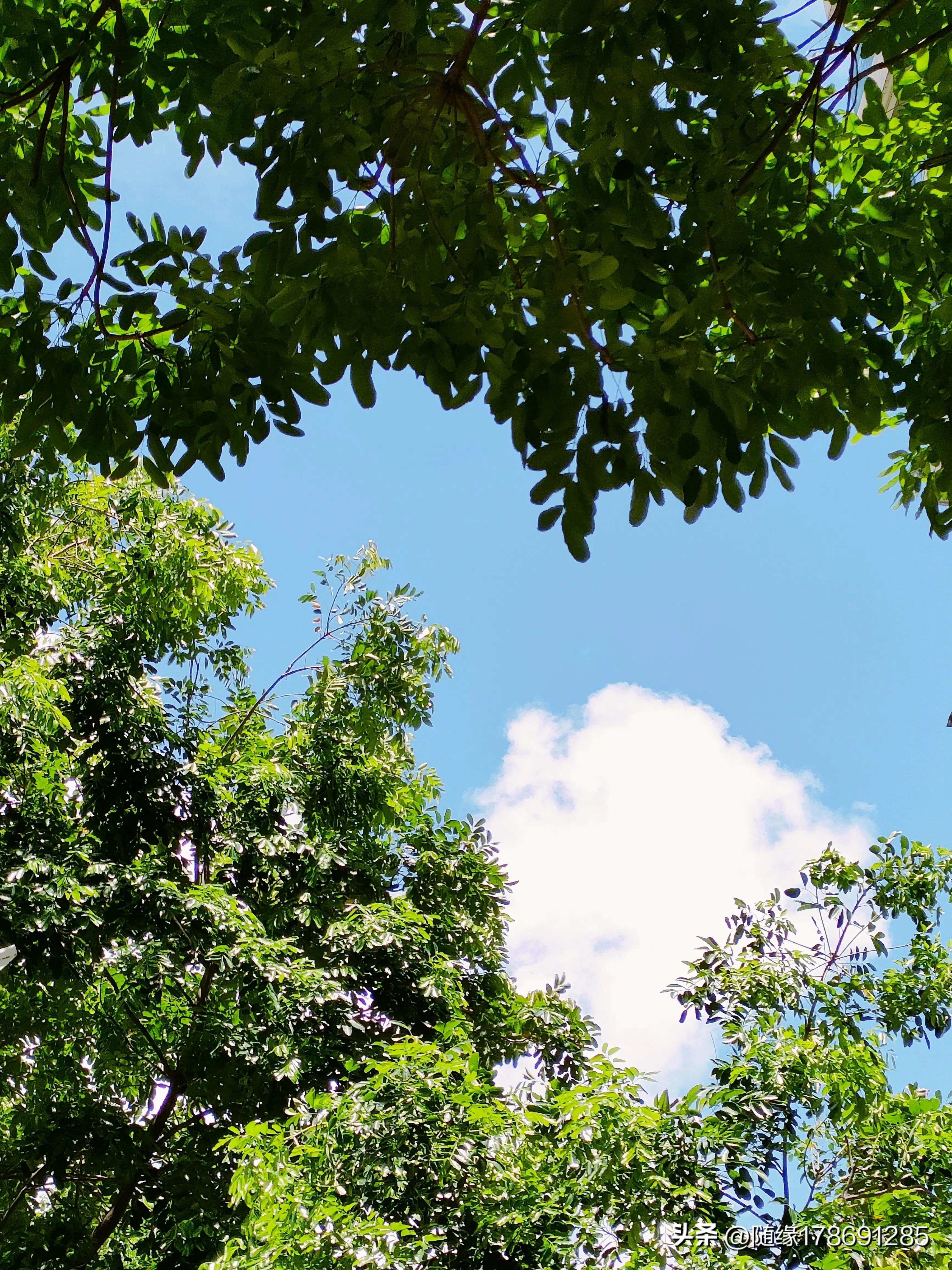 云游潮汕,汕头金砂中路公园