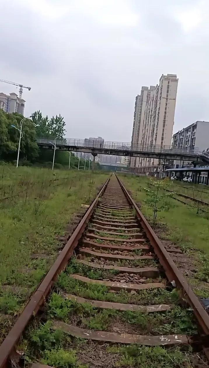 童年歌曲,童年罗大佑