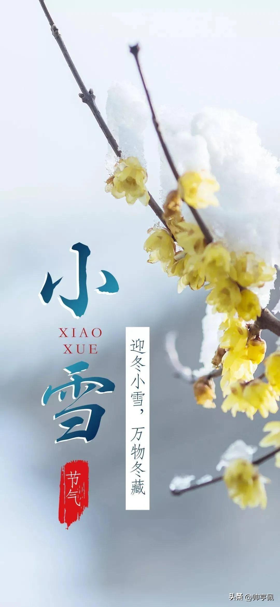 愁人独坐书窗下什么意思,愁人正在书窗下一片飞来一片寒