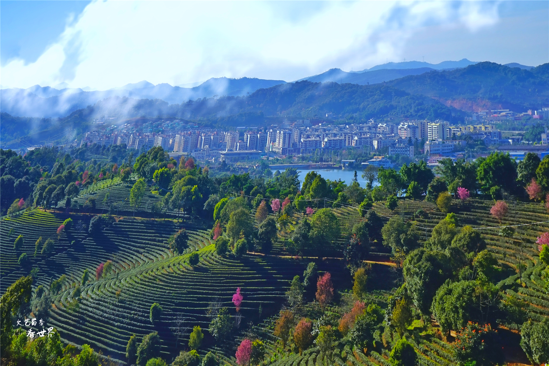 云南昆明适合北方人过冬吗,北方人到云南过冬最适合的地方