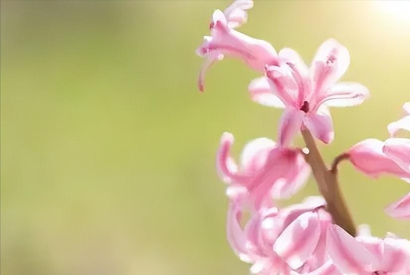 期货资金管理案例,期货资金管理的策略与应用