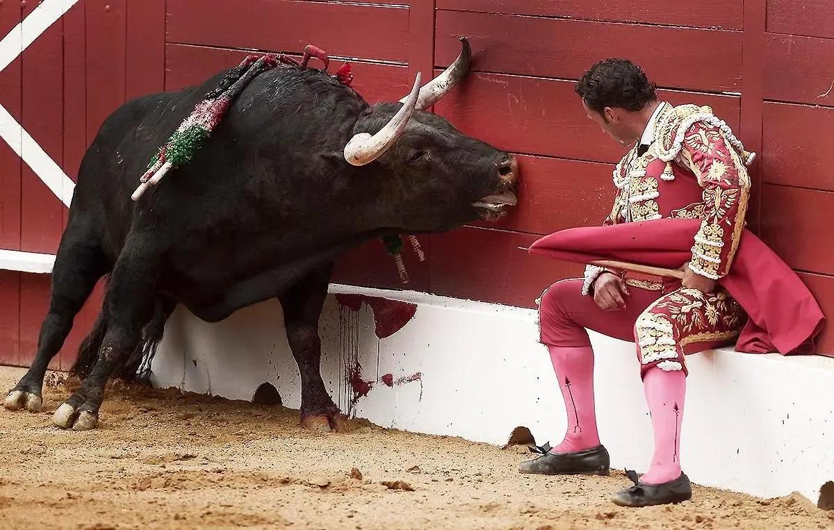 牛和牛互相顶头是怎么回事,牛和羊比力气